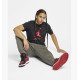 Футболка чоловіча Air Jordan T-Shirt Jumpman Flight