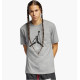 Футболка мужская Air Jordan T-Shirt Jumpman Flight Grey