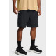 Шорти Ua Vibe Woven Cargo Short