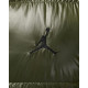 Жилет Nike JORDAN FLIGHT DOWN VEST
