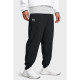 Мужские спортивные штаны UA Vibe Woven Jogger