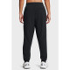 Мужские спортивные штаны UA Vibe Woven Jogger