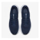 Мужские кроссовки Nike Revolution 5 