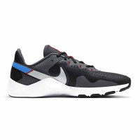 Кросівки Nike Legend Essential 2