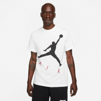 Футболка Nike JORDAN M J JUMPMAN AIR HBR SS CREW