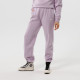 Спортивні штани (костюм) Nike Sportswear Essential Collection Fleece Pant