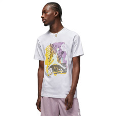 Футболка Nike Jordan Brand GFX SS Crew
