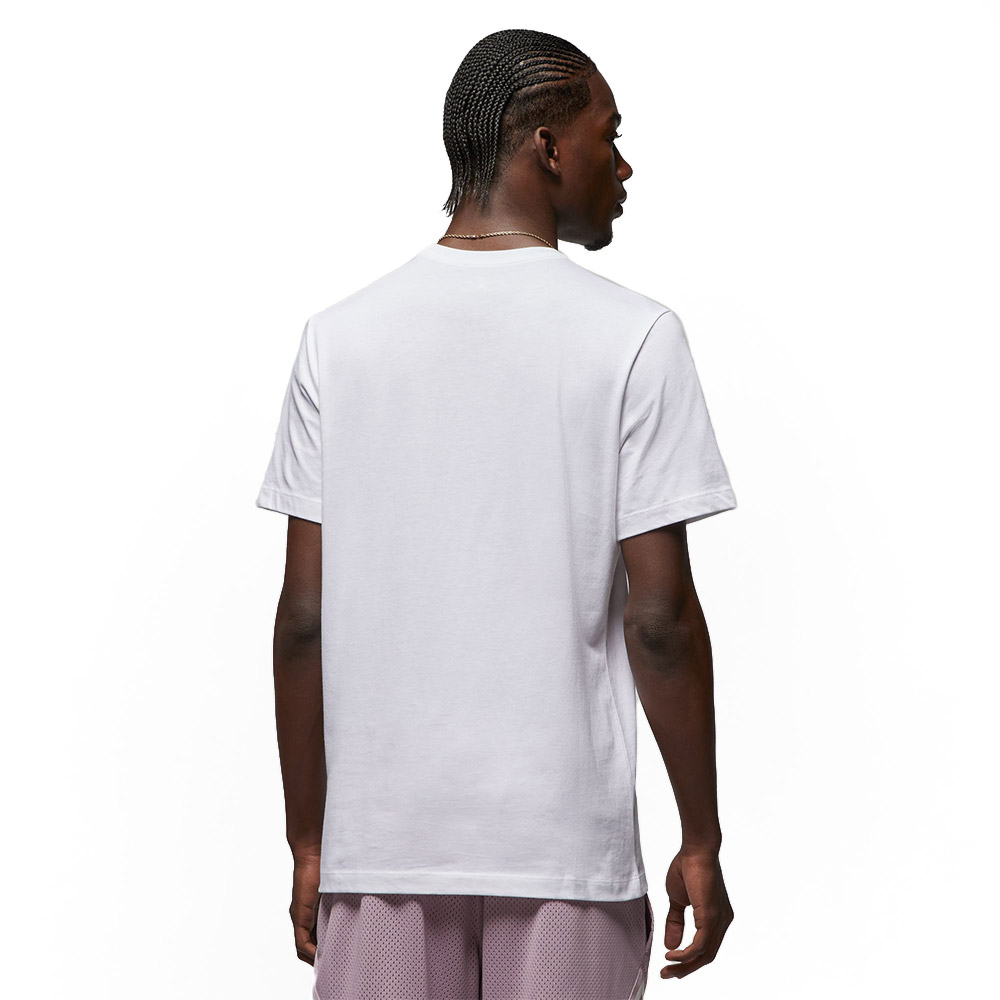 Футболка Nike Jordan Brand GFX SS Crew