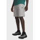 Чоловічі шорти UA Rival LW Shorts