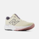 Кросівки жіночі New Balance Fresh Foam 520v9