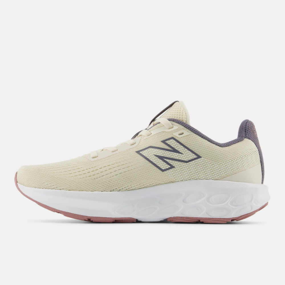 Кросівки жіночі New Balance Fresh Foam 520v9