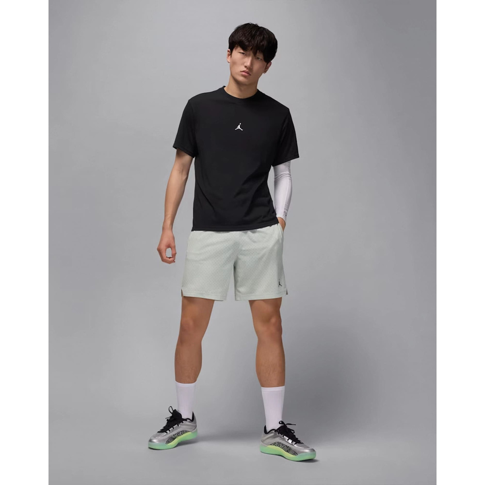 Футболка мужская Air Jordan Sport Black