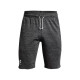 Шорты мужские Under Armour Ua Rival Terry Short