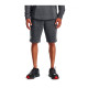 Шорты мужские Under Armour Ua Rival Terry Short