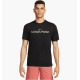 Футболка мужская Nike Dri-Fit Ss T-Shirt