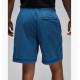Шорты Air Jordan Essential Stmt Wsh Dmnd