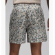 Шорты Air Jordan M J Ess Poolside Aop Short