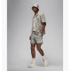 Шорты Air Jordan M J Ess Poolside Aop Short