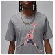 Футболка мужская Air Jordan M J Brand Grey 