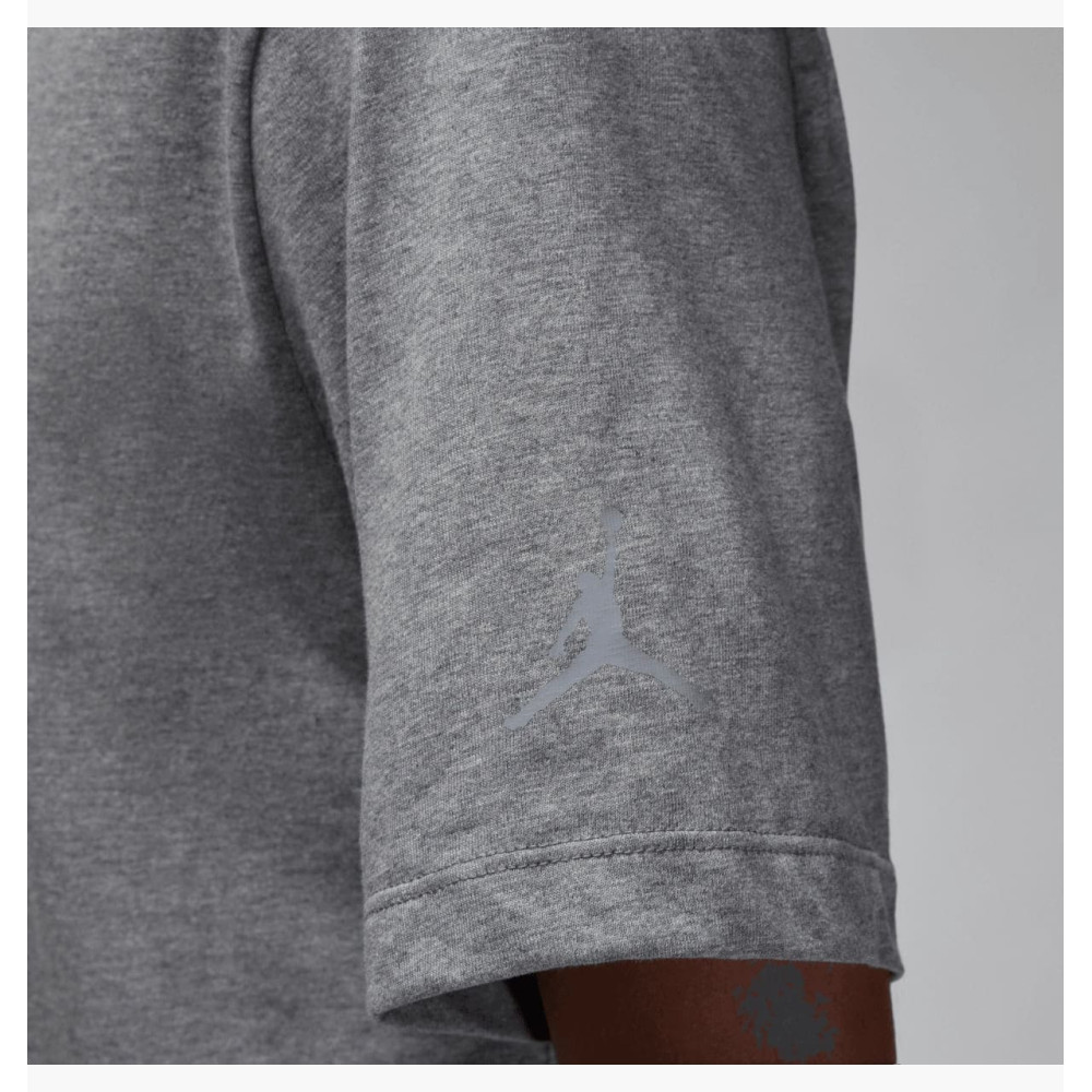 Футболка мужская Air Jordan M J Brand Grey 