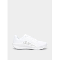 Кросівки NIKE Downshifter 13 (FD6476-101)