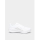Кросівки NIKE Downshifter 13 (FD6476-101)
