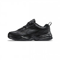 Кроссовки Nike Air Monarch