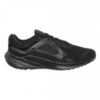 Кросівки Nike Quest 5 003 (DD0204-003)
